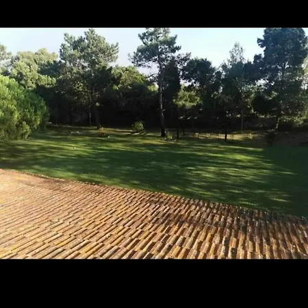 Alloggio in famiglia King Size Na Quinta S Jose Praia de Mira